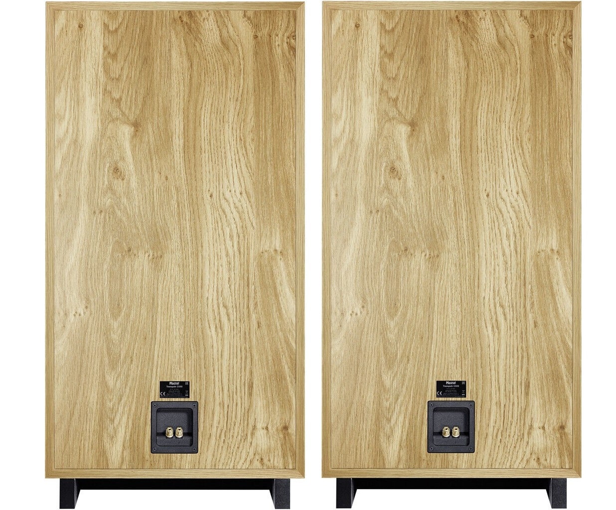 Magnat Transpuls 1500 cassa da pavimento