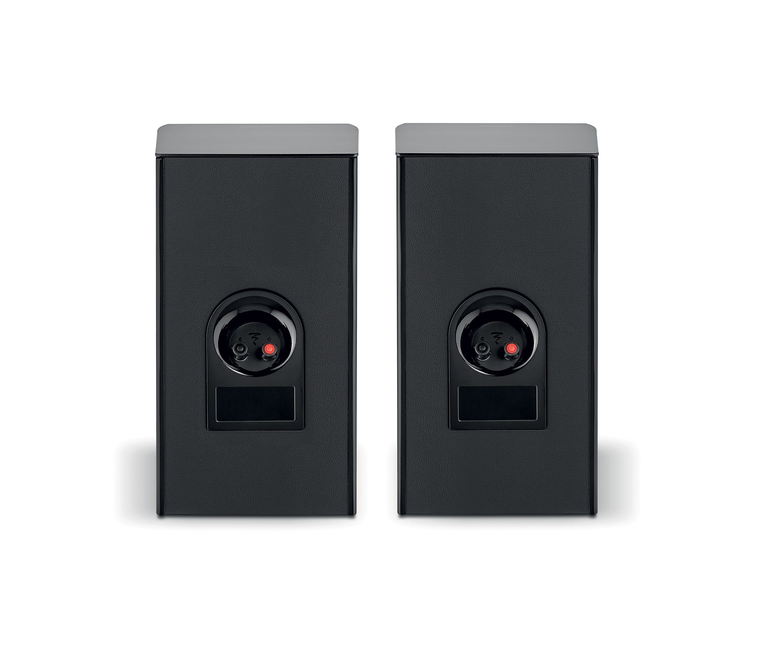 Focal Aria Evo X N1
