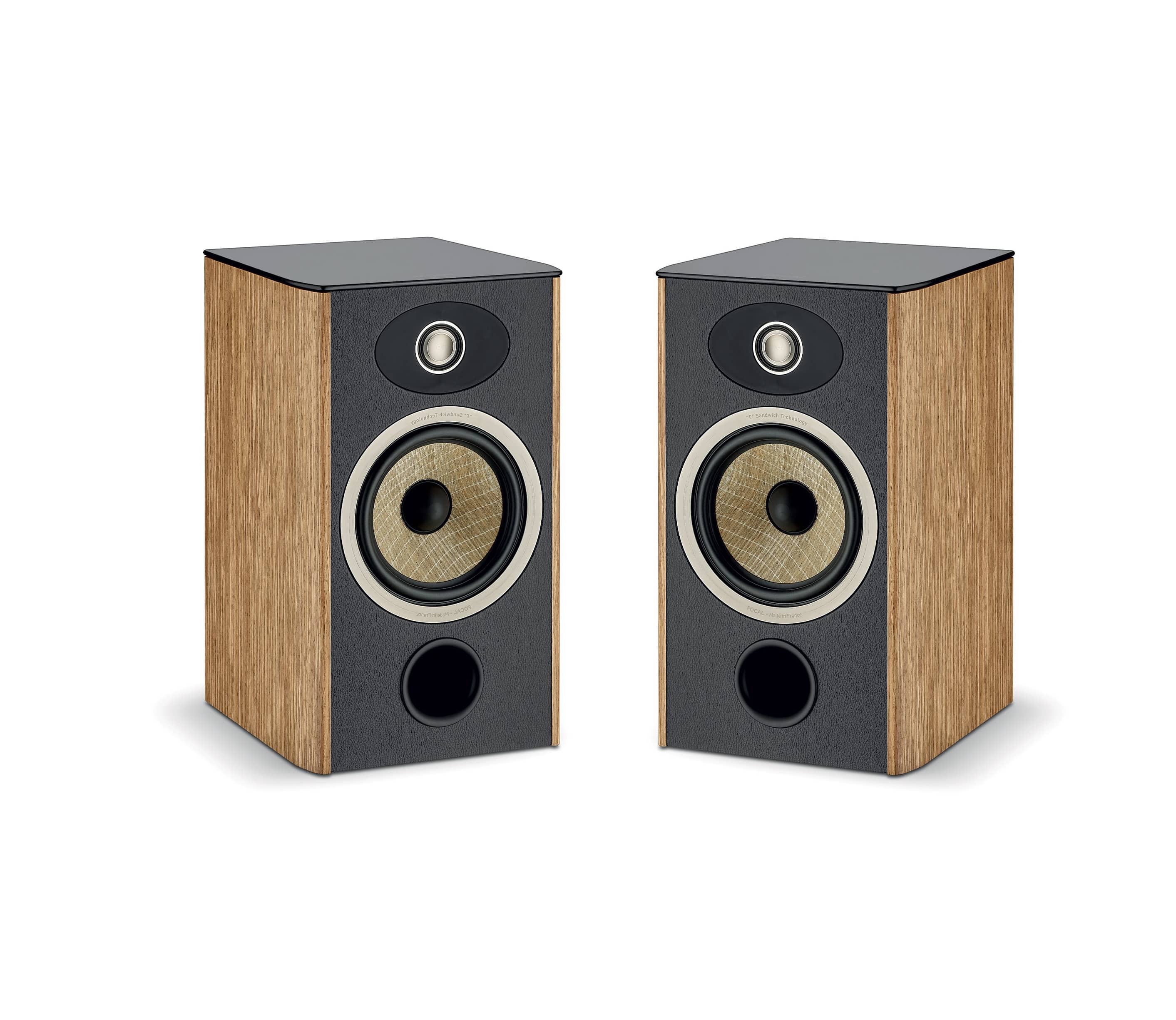 Focal Aria Evo X N1