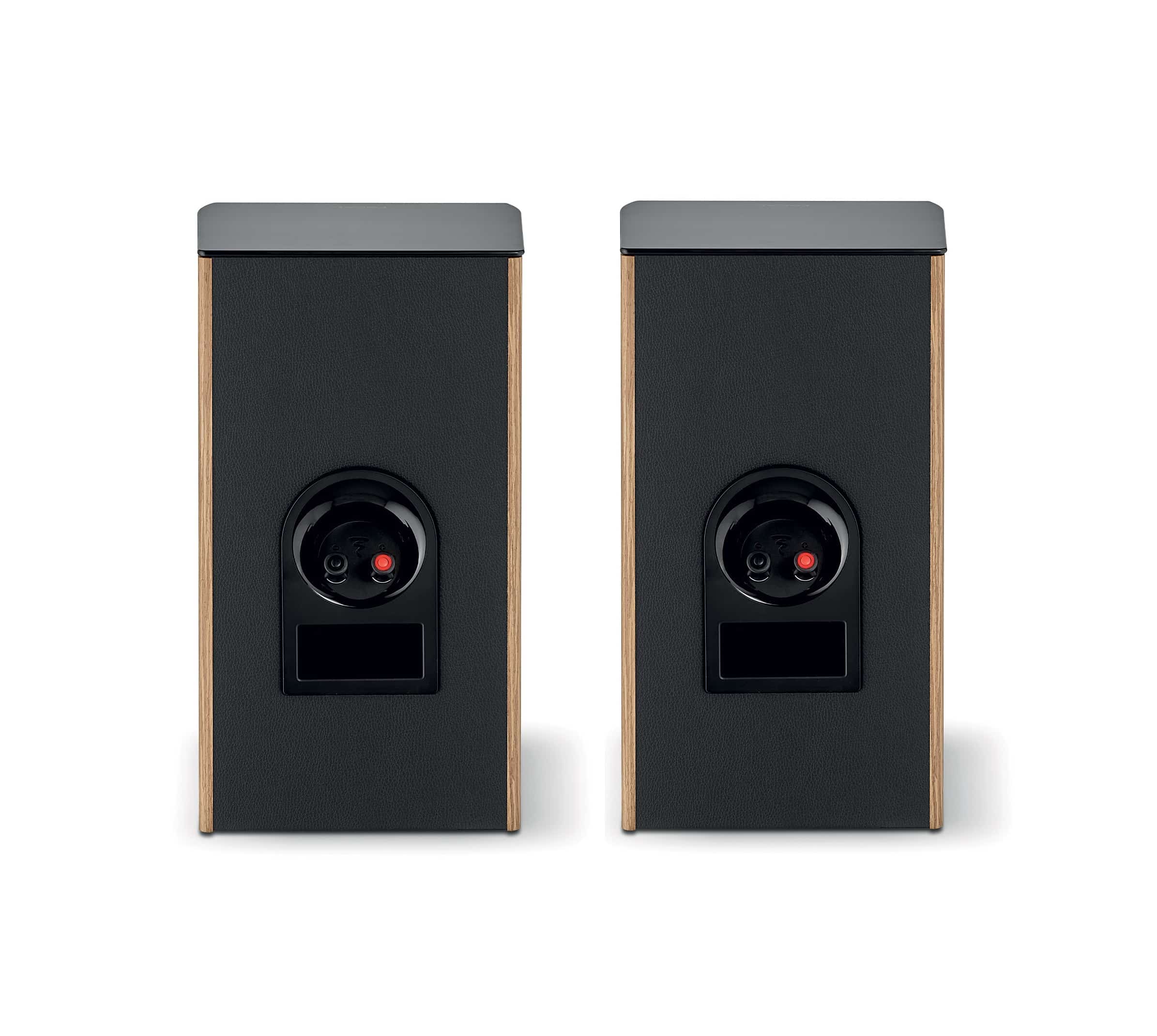 Focal Aria Evo X N1