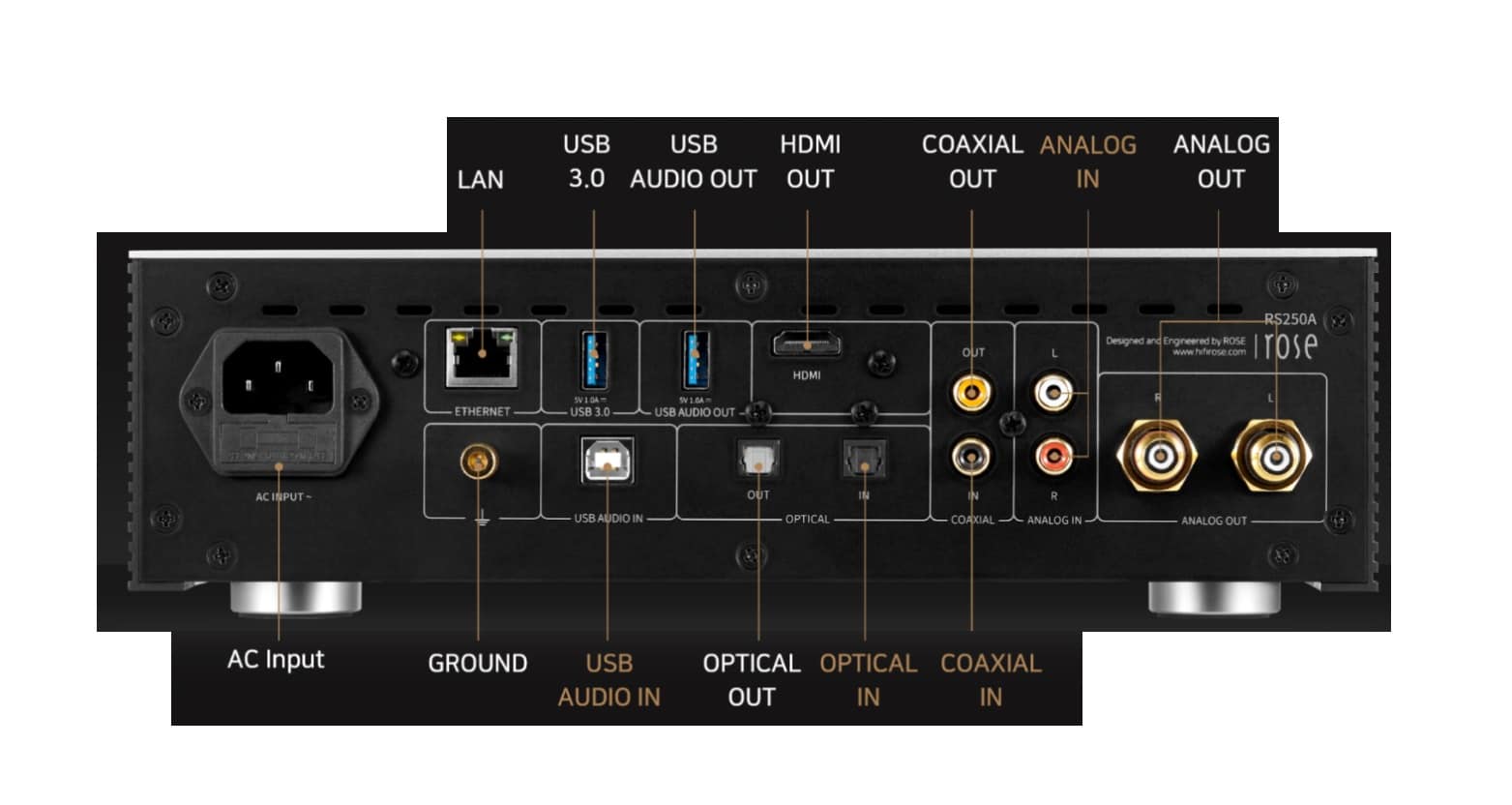 Rose RS250A Streamer di Rete