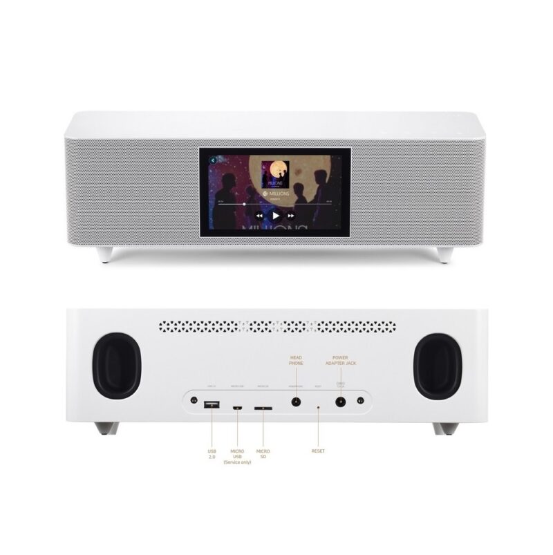 ROSE RS350 all-in-one media player