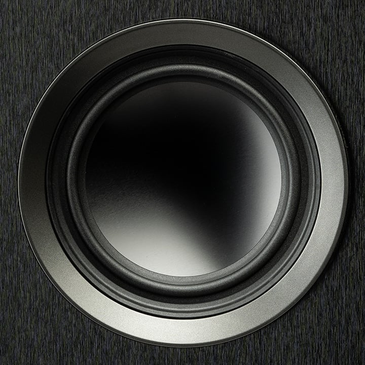Martin Logan Foundation