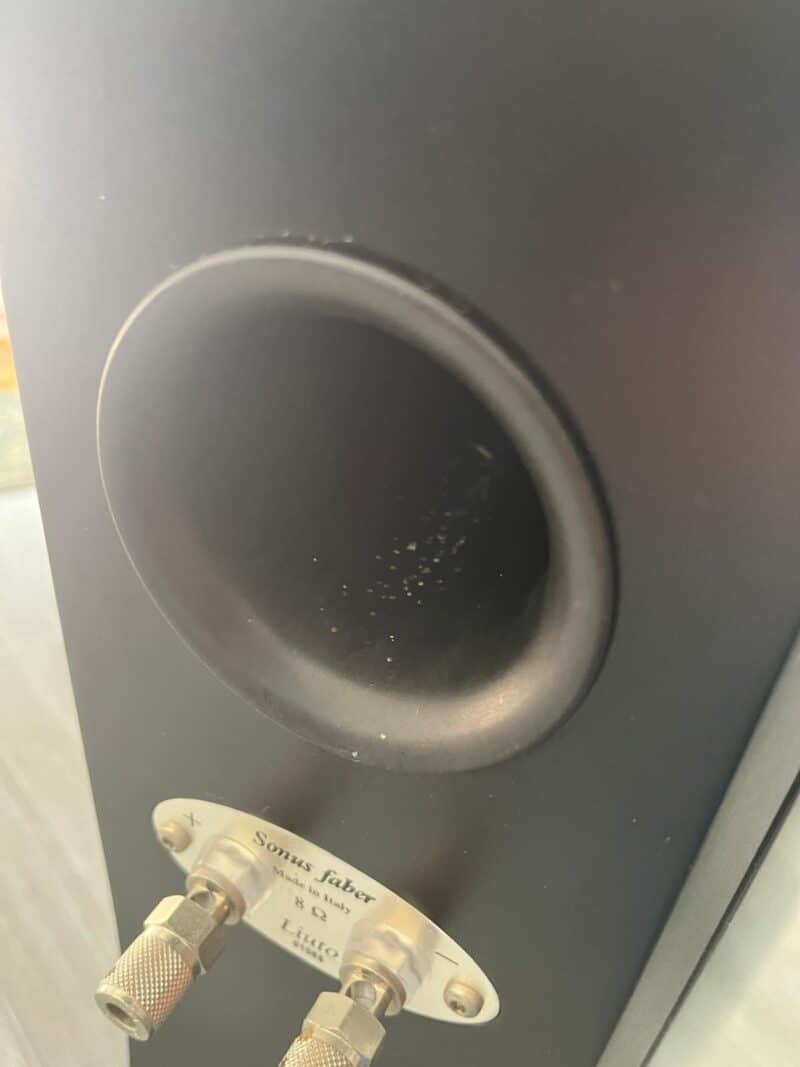 sonus faber liuto