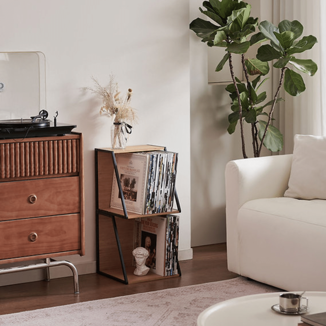 Norstone Vinyl LP Case